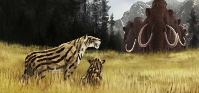 Сибирский Симба: в вечной мерзлоте Якутии нашли останки саблезубого котёнка