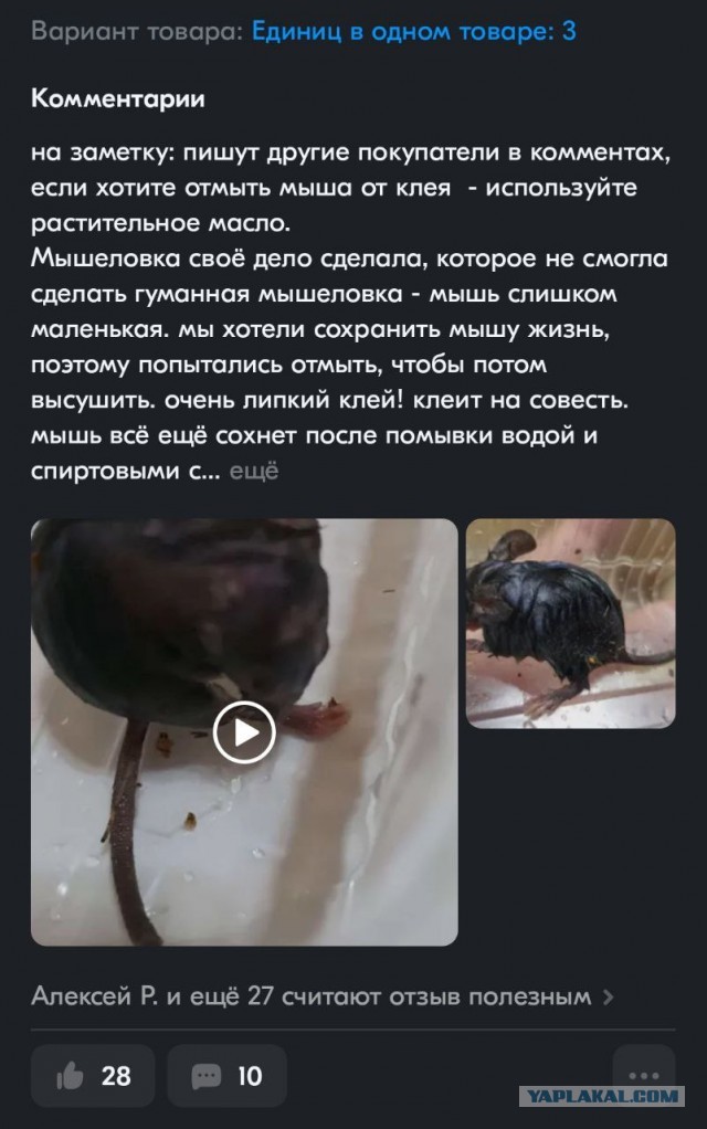 Зоошиза или?