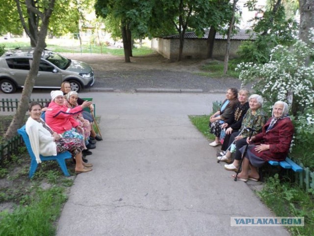 Мировые знаменитости пришли на церемонию вручения «Оскара» в прозрачных платьях