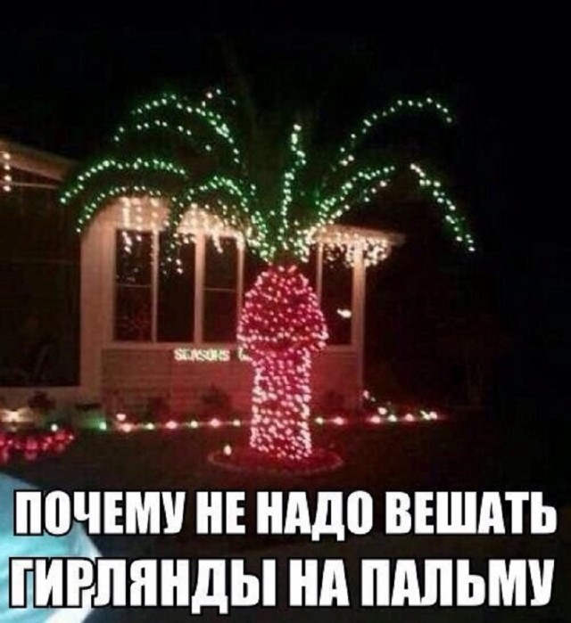 Так себе картинки 30.03.25