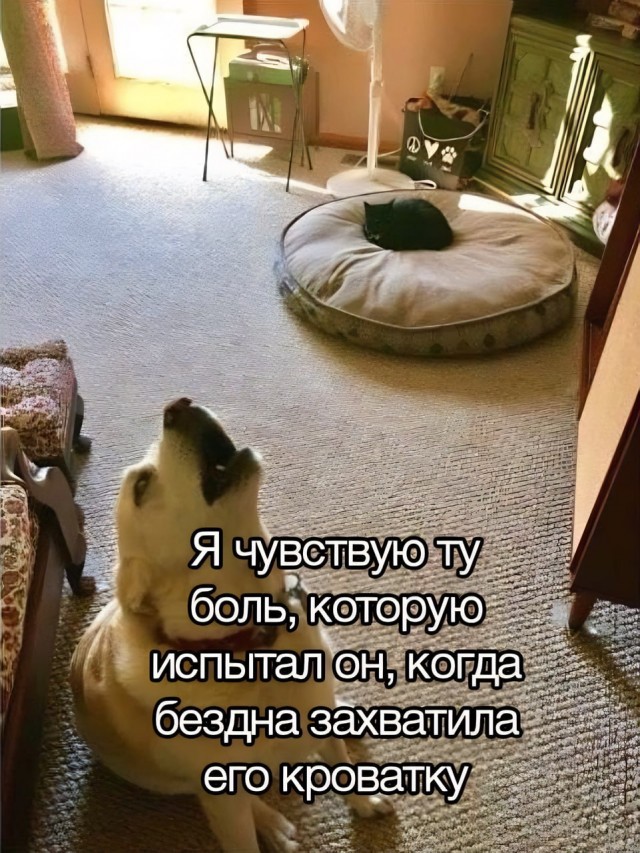 Весёлый полтишок 16.04 25.