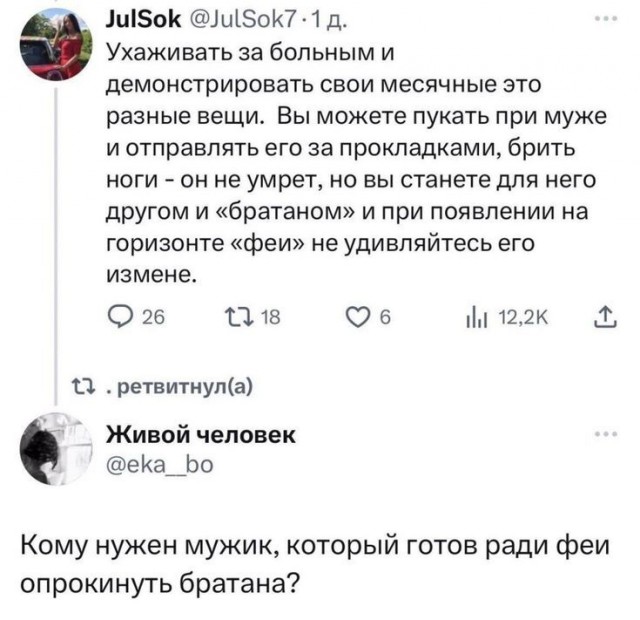 Феи и братаны⁠⁠