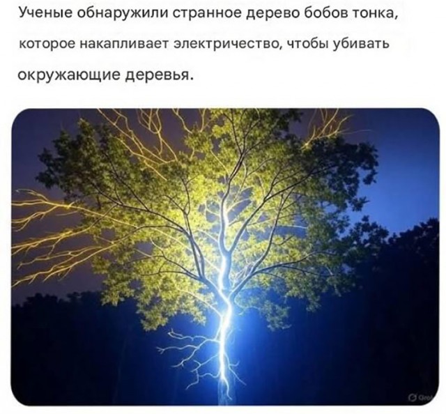 Белый слон и другие картинки