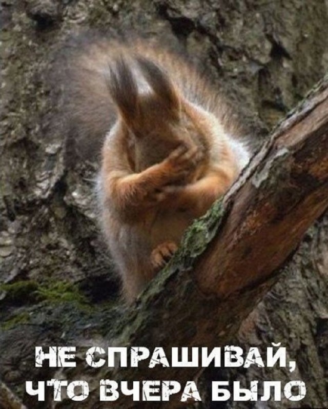 Так себе картинки 12.06.25