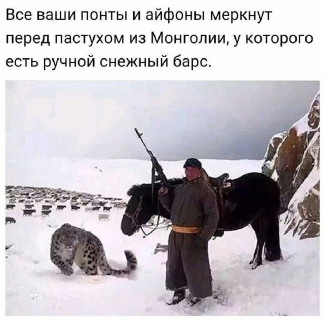 Так себе картинки 06.07.25