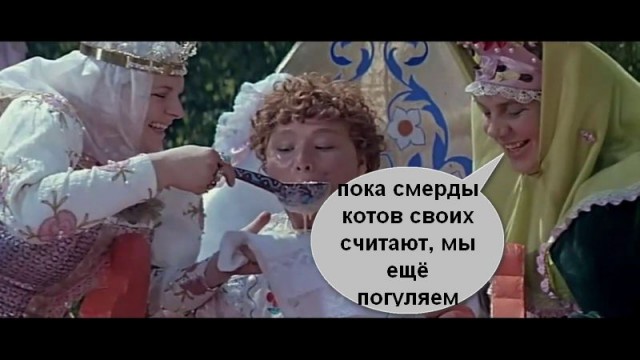 В ГД хотят законодательно ограничить количество собак и кошек в квартире