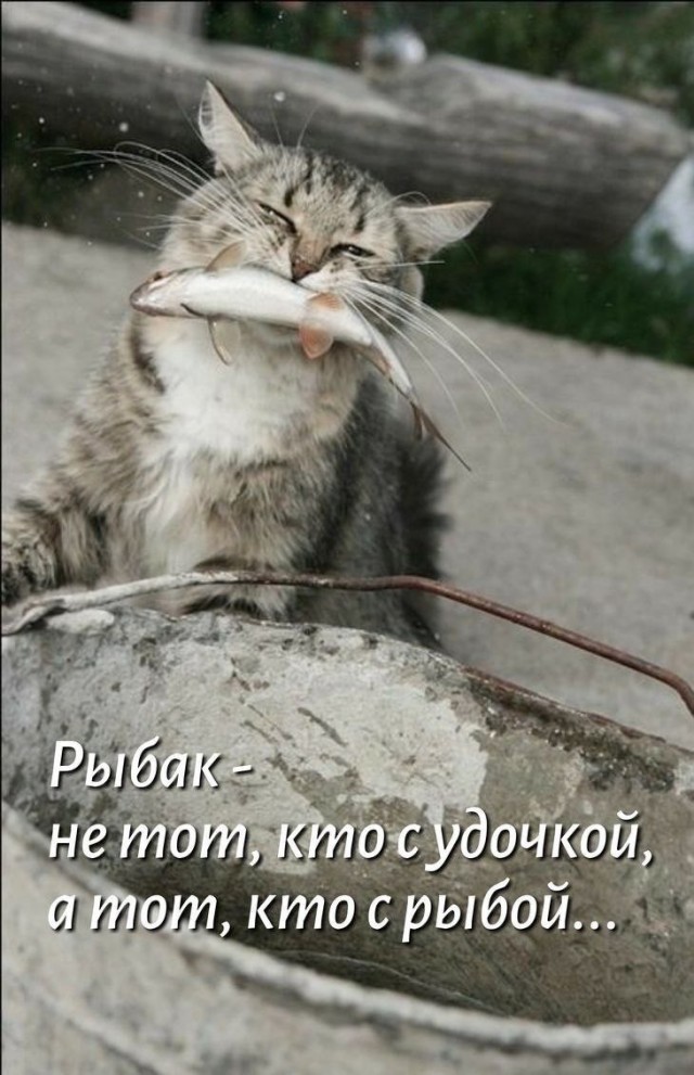 Воскресные картинки