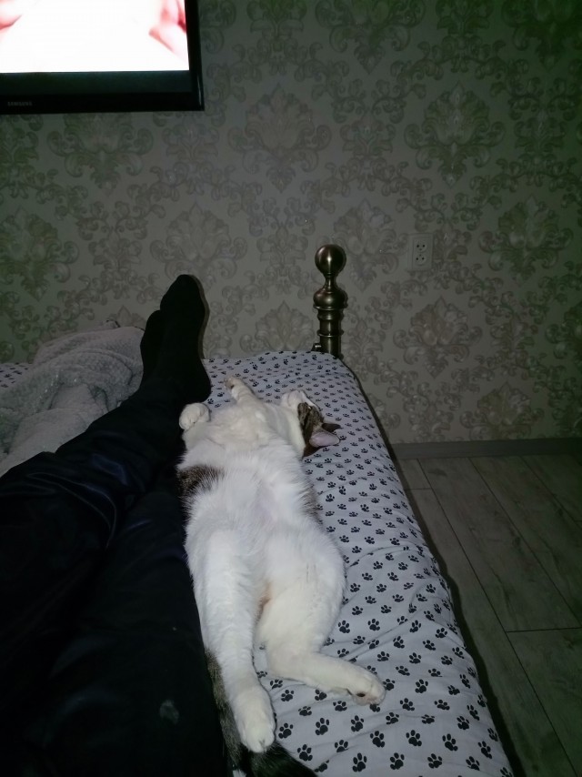 Возвращение доверия