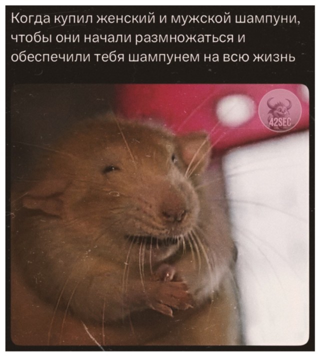 Деградация