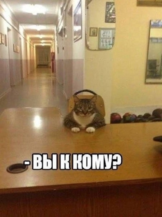 Так себе картинки 24.12.25