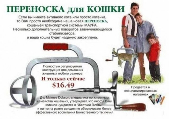 Как завязать кота