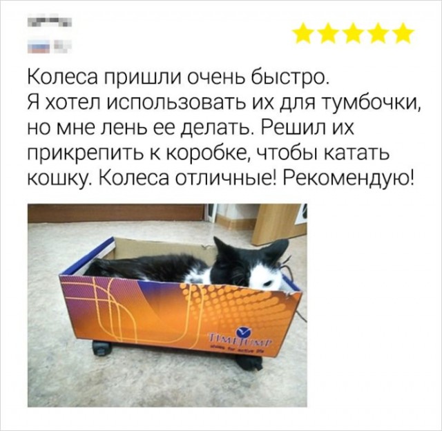 Картинки для деградации 139 (разной степени свежести)