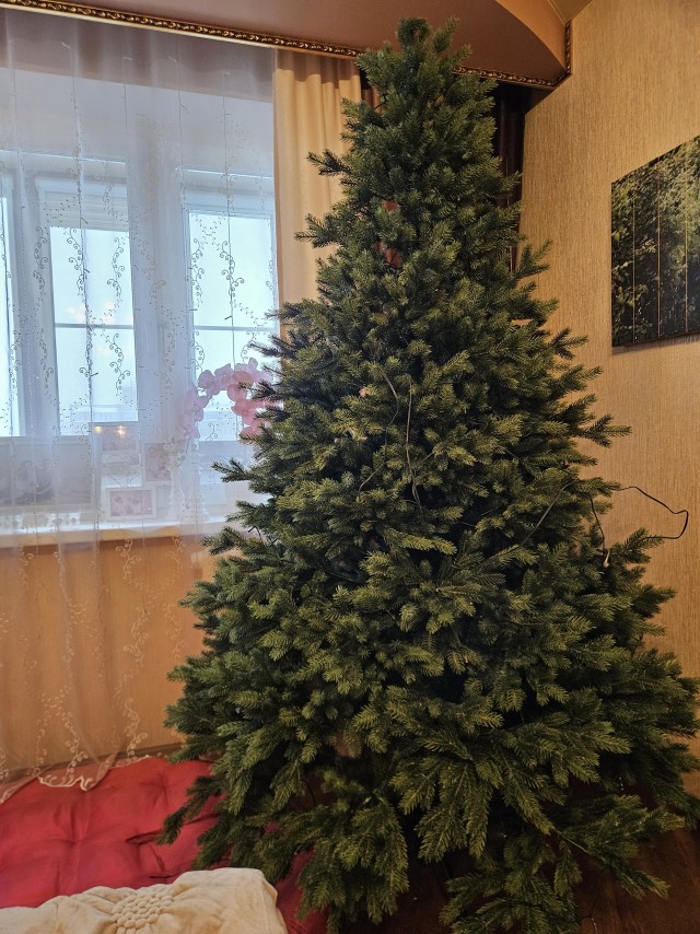 Держусь! Но силы на исходе