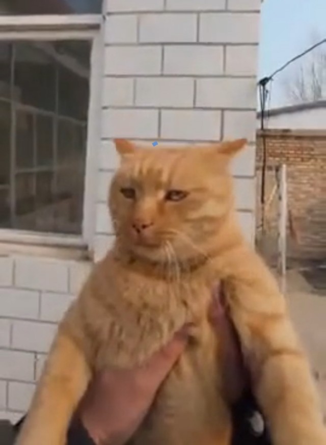 Бандиты