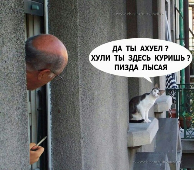 Маленькая пятница
