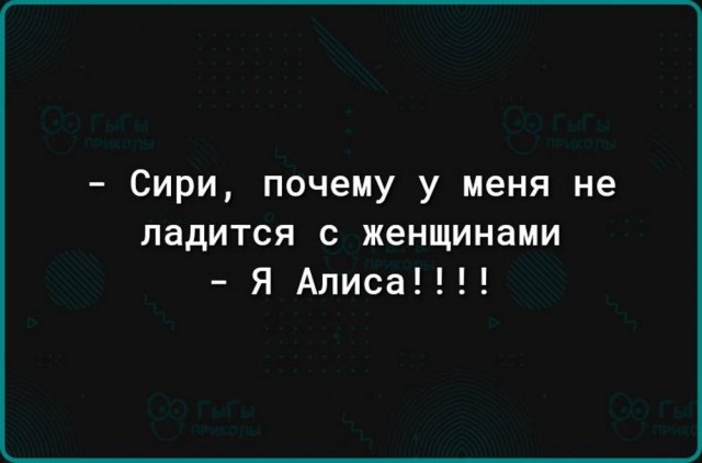Веселые картинки в пятницу (29.05)