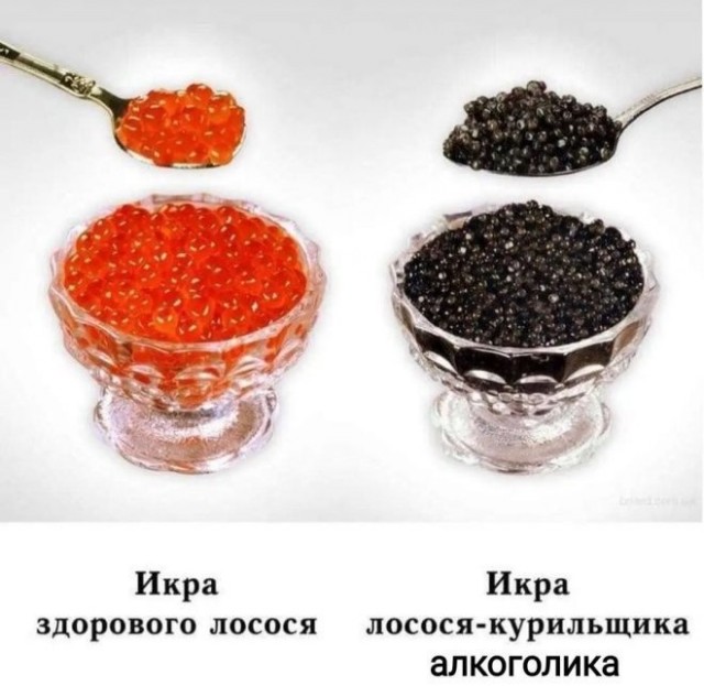 Картиночки, баянчики 12 июня