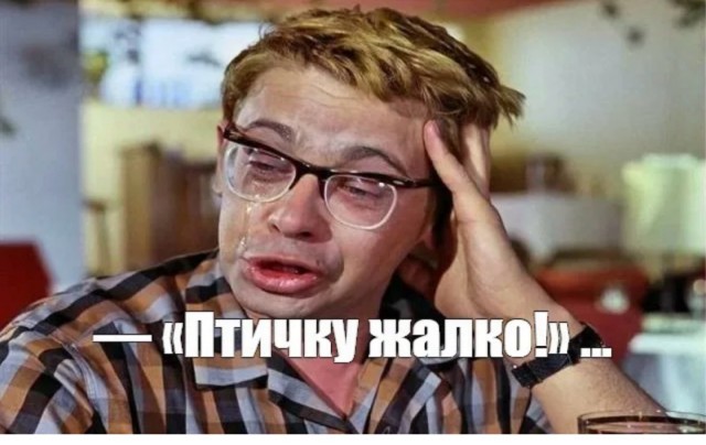 Байкер получил контузию после столкновения с вороной на скорости 270 км/ч в Подмосковье