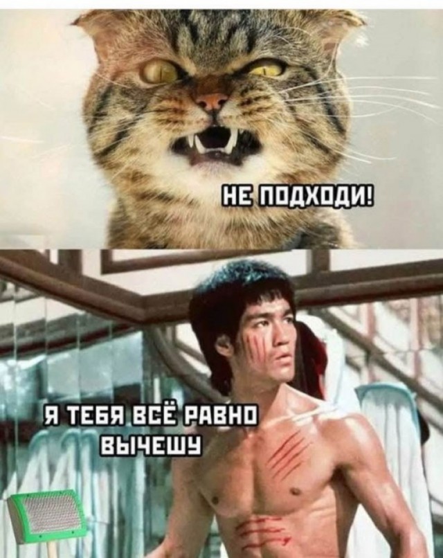 Картинки для деградации 276 (разной степени свежести)