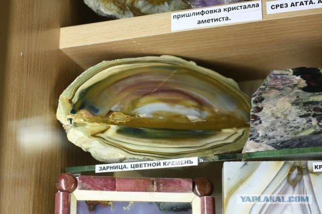 Музей шедевров природы