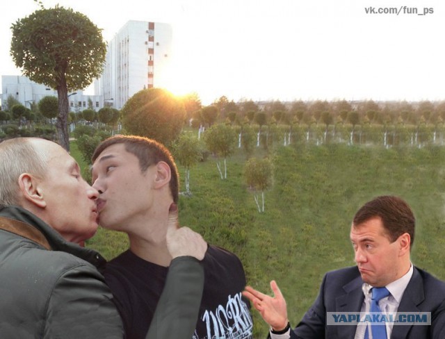 Теперь ты видел всё