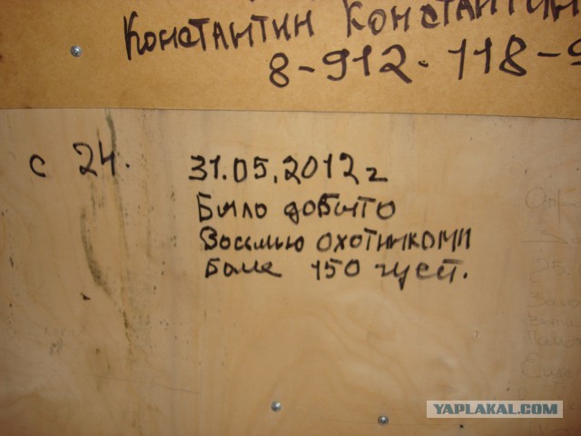 Дома Русского Севера