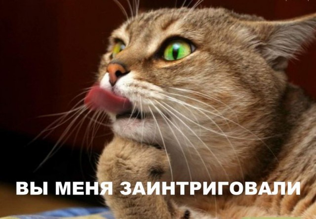 Не про олимпиаду