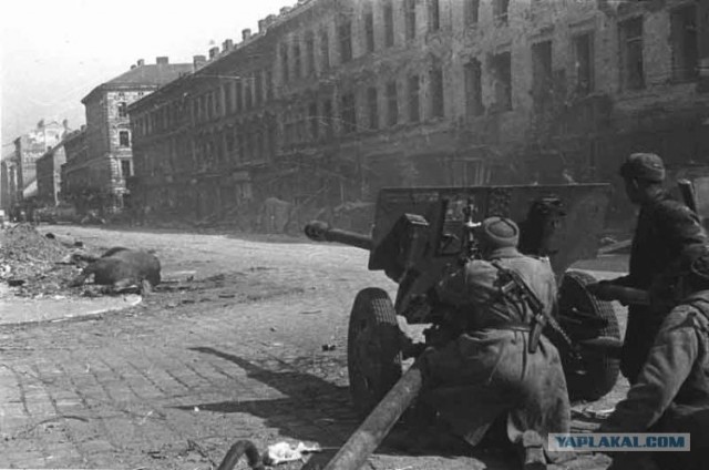 Фотографии второй мировой, многие цветные (фото)