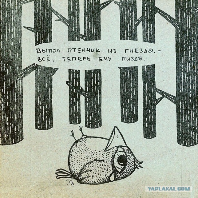 Судьба птенца