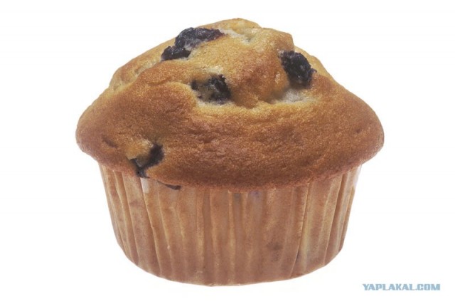 Презрения псто