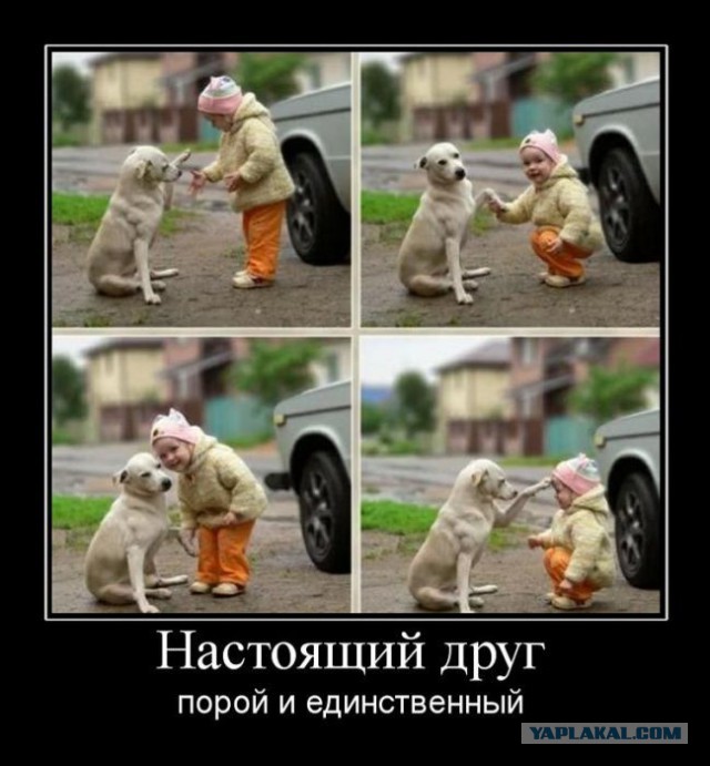 Весёлое из сети