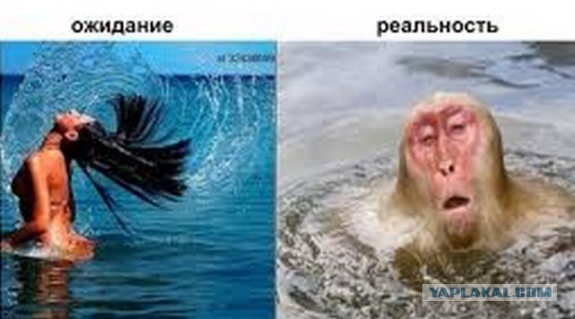 Летние ожидания и реальность