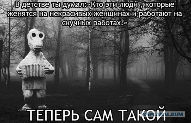 Картинки