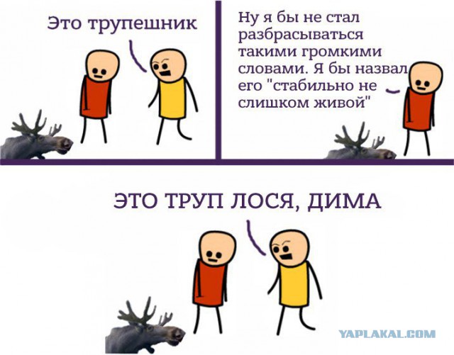 Медведев назвал ситуацию в экономике стабильной.