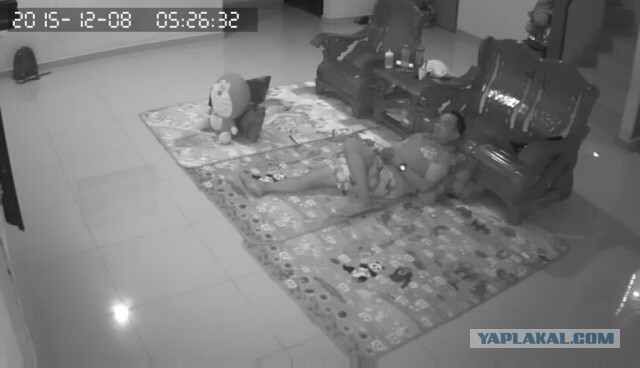 За что я люблю китайцев