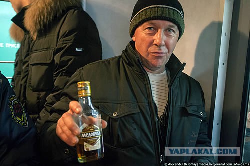 "Быдло"