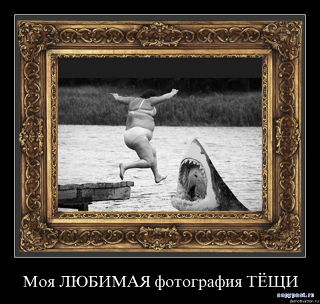 Тёщины перлы. Или все тёщи дуры...