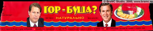 Все о БУШЕ