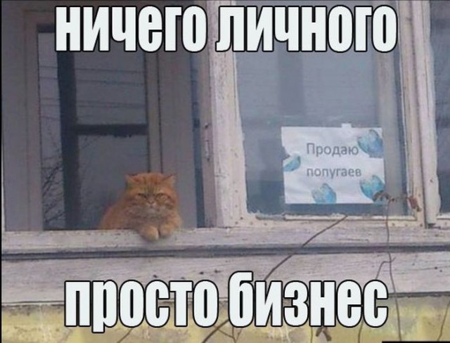 Всякие картинки из ваших энторнетов