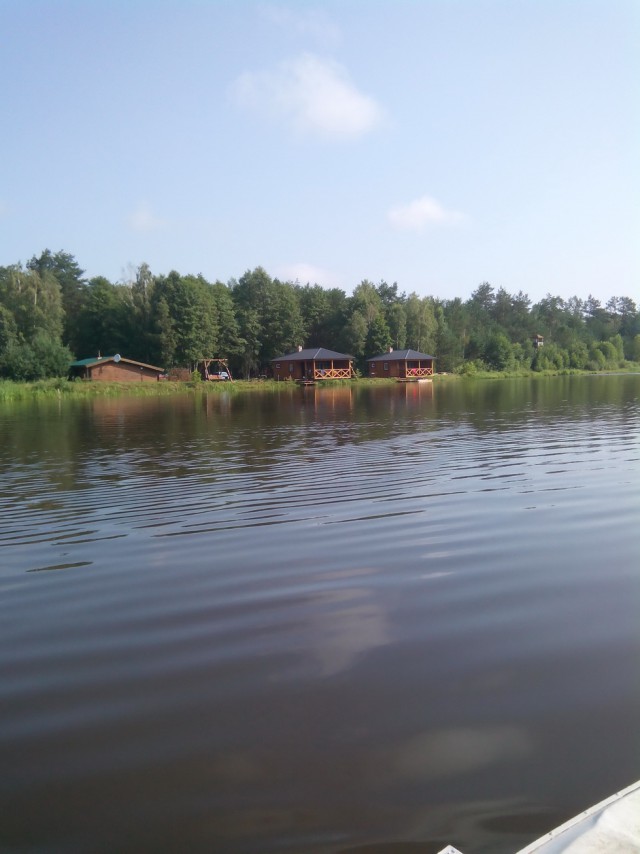 Дома в лесу, здесь бы я отдохнул!
