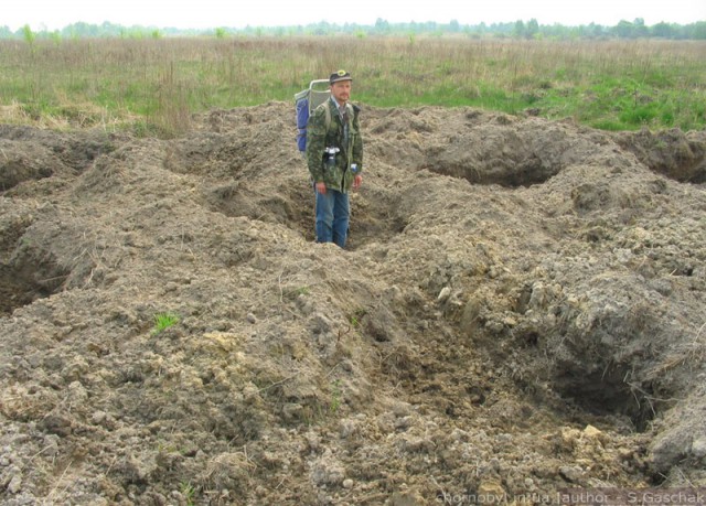 Трудно поверить: что попадается в фотоловушки в зоне Чернобыля