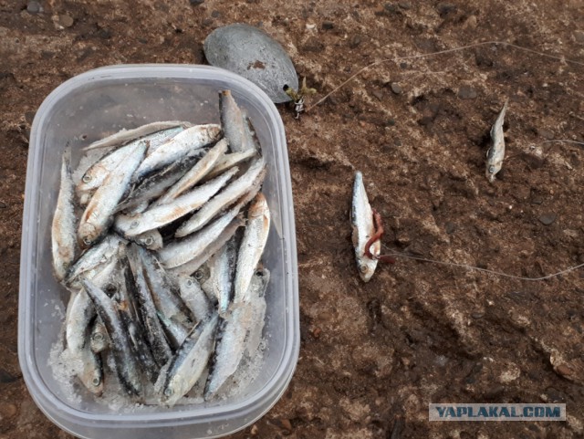 Закрытие сезона. Рыбалка