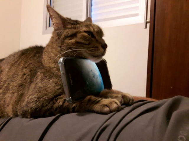 Люди, которые могут выйти победителями из любой ситуации