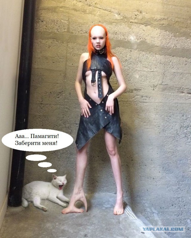 В диком мире Instagram водятся монстры