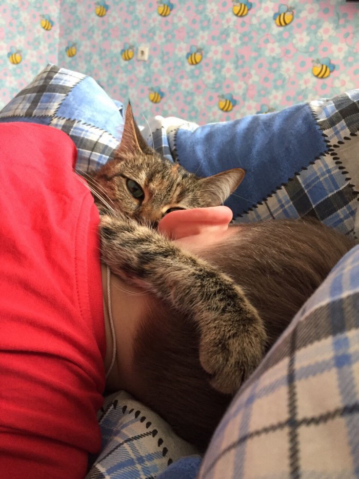 Котовторник 20.03.2018