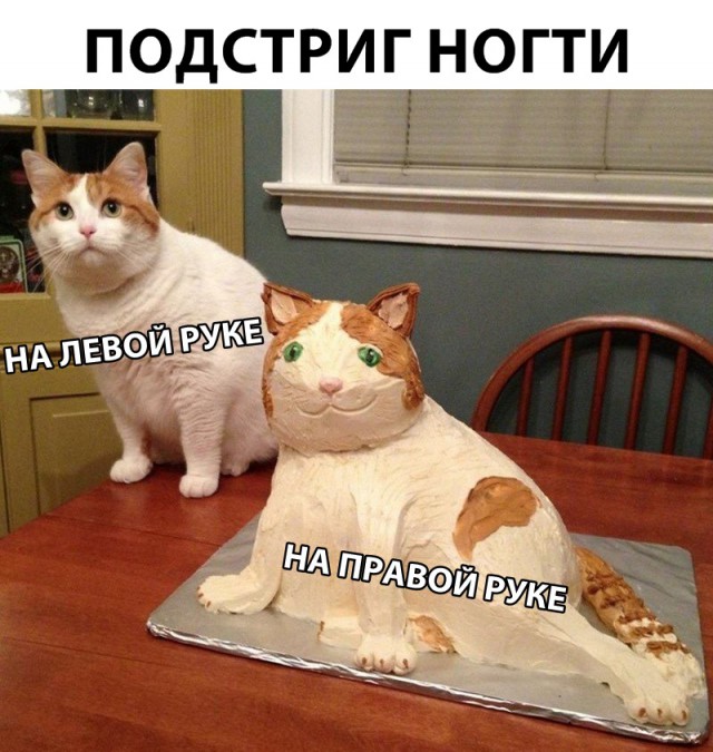 Немного милоты