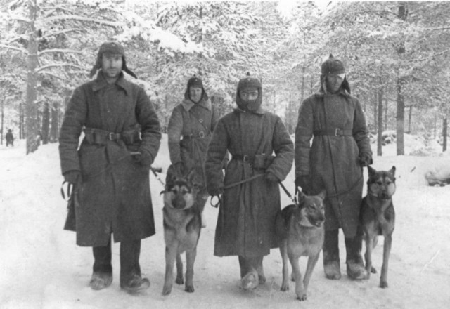 История в фотографиях - II