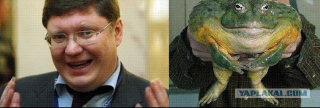 Исаев: Мелкие твари – расслабьтесь