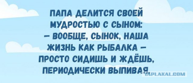 Картинки с надписями, соц-сети и анекдоты