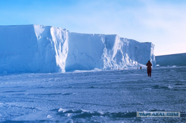 Плоскоземельщики отправятся в Антарктику на поиски «края» планеты